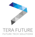 Tera Future LLC